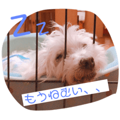 yuka_20190806133501