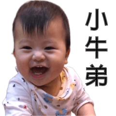 小牛弟的日常