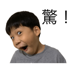 Hello funny pig bro – LINE stickers | LINE STORE