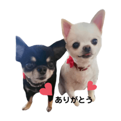 haruna_20190806153522