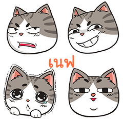 NEF trollcat emoji