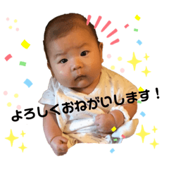 Sumire_20190805120704