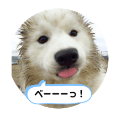 shizu_20190804232650