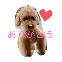 hana_20190806094142