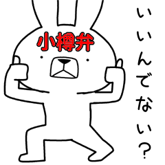 Dialect rabbit [otaru2]
