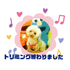 dogsalon.sunsun_20190801161456