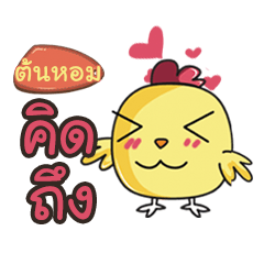 TONHOM this chicken2