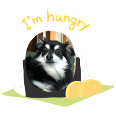 kazuki_20190806131611