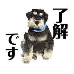 chan_20190806224339