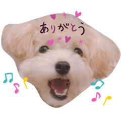 KIYO_20190806215656