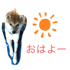 rk_20190807155235