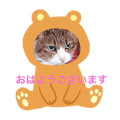hide_20190807141822