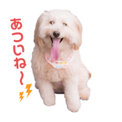 milku stamp