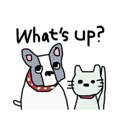 dog and cat story