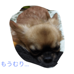 choco-moka