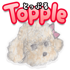 Topple [BASIC SET]