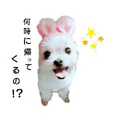 kyunpi