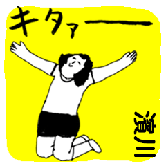 HAMAKAWA majiyabai no.9799