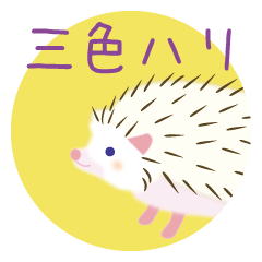Three color hedgehogs sticker
