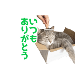 hiroyuki_20190807184030