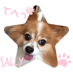 sally_20190807205033