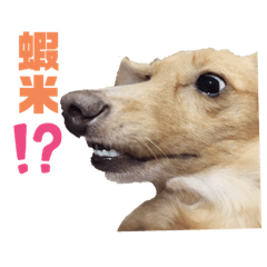 我是優咪優咪是我