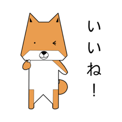 Shiba-inu Jyyako talk2