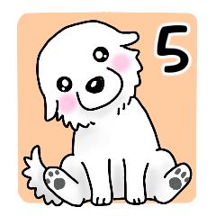 大きな白い犬 ピレネー犬5【共感】