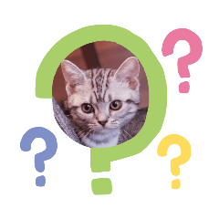 Cocoa_20190807232805