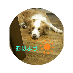 mayumi_20190807225155