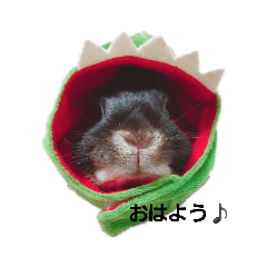 tashite10_20190807225137