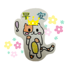 頑皮喵咪的世界