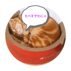 my family mochimochi