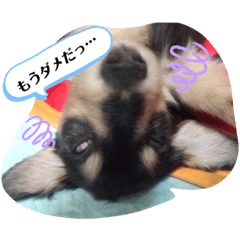 ARAN_20190807232031