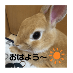 jun_20190807222953