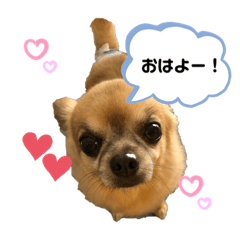 mayumi_20190807180247