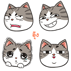 UNG5 trollcat emoji