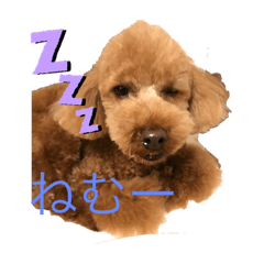 kuu_20190807191051
