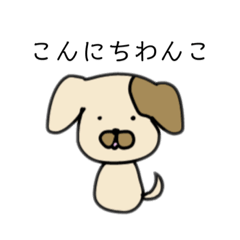 pi_20190808021230
