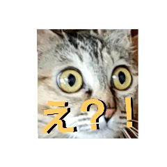 KID_20190808105929
