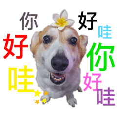 I am Mochi Fang and super cute!