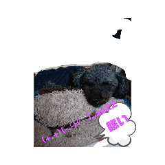 ponta_20190808121436