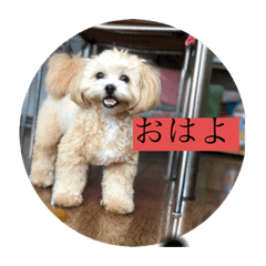 chisato_20190807224707