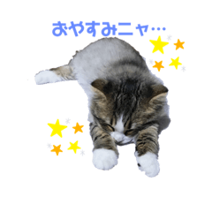 hanachan ver.1
