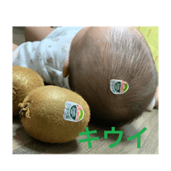 kota_20190808142028