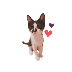 ayumilk_stamp