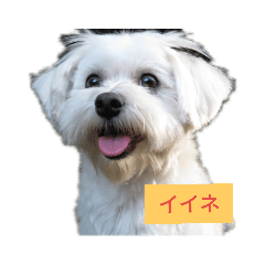 hana_20190808174815