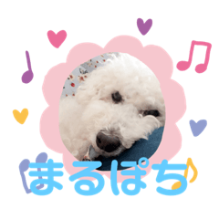 risa_20190808201909