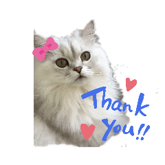 junko_20190808165245