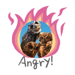 ふくろうファイターズby格闘梟II